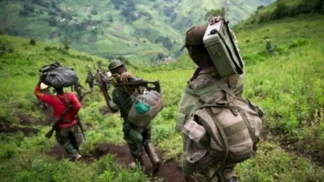 Lire la suite à propos de l’article Ituri : Une dizaine des civils abattus par des combattants ADF à Mambasa