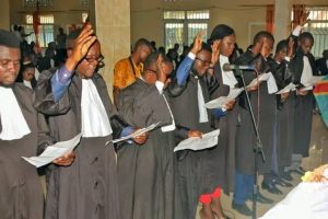 Lire la suite à propos de l’article RDC : 200 avocats non inscrits au barreau de Maï-Ndombe poursuivis pour « escroquerie » (document)
