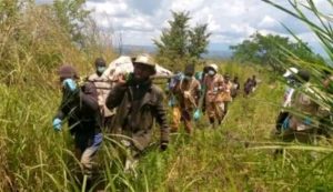 Lire la suite à propos de l’article Nord-Kivu : Un bilan alarmant de 80 personnes tuées par les terroristes ADF depuis Janvier 2024 à Beni (société civile)