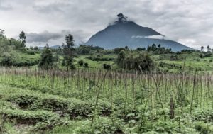 Lire la suite à propos de l’article Nord Kivu : Montée de la criminalité dans le territoire de Nyiragongo