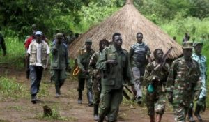Lire la suite à propos de l’article Beni : au moins 8 morts dans une nouvelle attaque des ADF