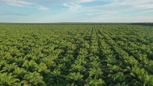 Lire la suite à propos de l’article RDC : PHC dénonce une campagne de diabolisation visant à déstabiliser cette société