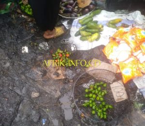 Lire la suite à propos de l’article Kinshasa : déjà entouré d’immondices, le marché du rond-point Ngaba impraticable après la pluie
