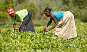 Lire la suite à propos de l’article RDC: Une société étrangère va investir 100 milliards $ dans les secteurs de la santé, éducation, infrastructures et agriculture