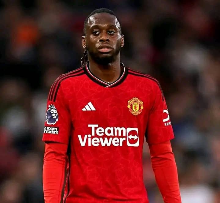 You are currently viewing Football : Aaron Wan-Bissaka dans le viseur de West Ham 