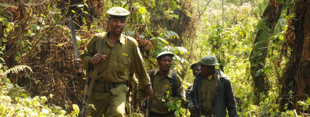 Lire la suite à propos de l’article Sud-Kivu : Un écogarde tué et deux blessés dans une attaque armée à Lubimbe