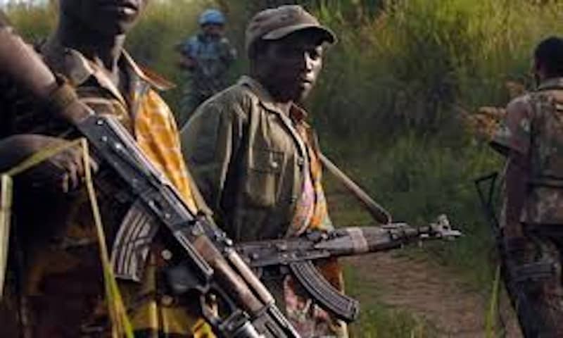 Lire la suite à propos de l’article Ituri : 10 civils tués par les ADF à Irumu 