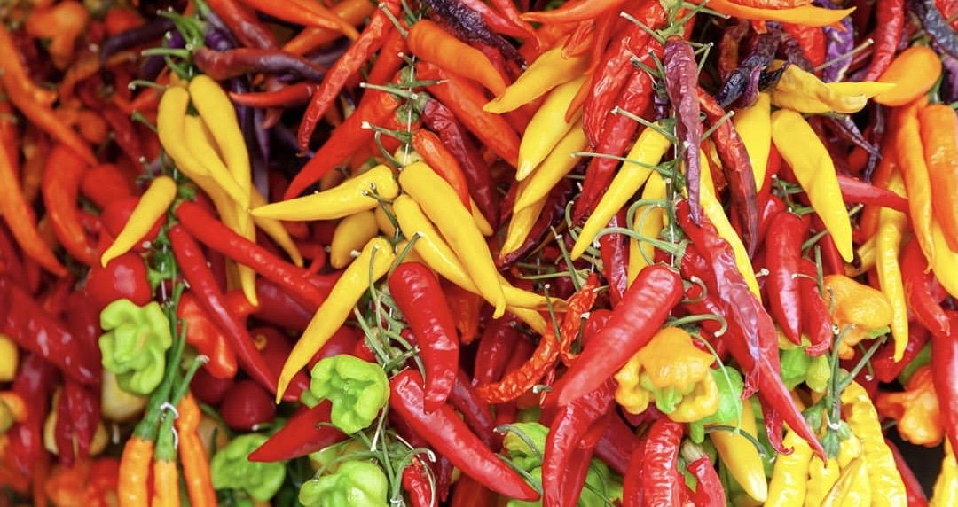 Lire la suite à propos de l’article Kasaï-Central : hausse vertigineuse du prix de piment et de braise à Kananga