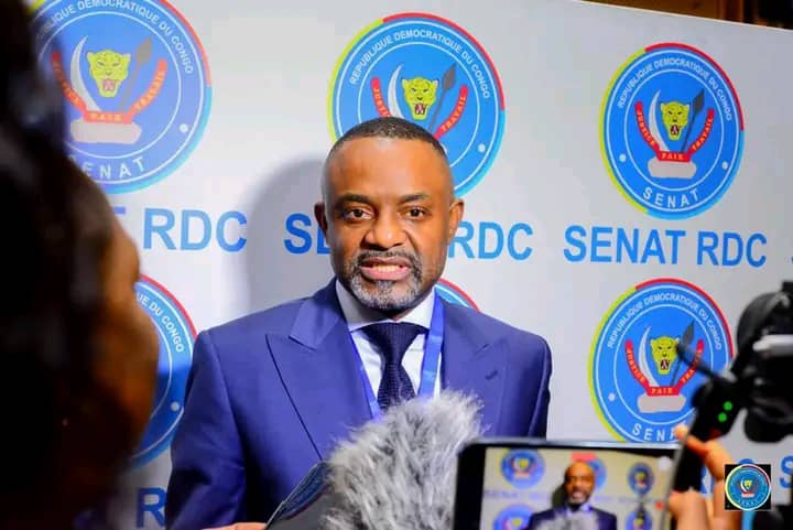 Lire la suite à propos de l’article Sénat : Salomon Idi Kalonda dépose sa candidature au poste du rapporteur adjoint