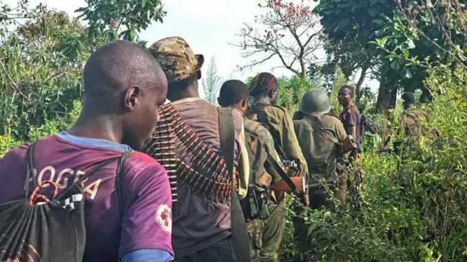 Lire la suite à propos de l’article Ituri : Des morts et des portés disparus dans une nouvelle attaque des ADF à Mangeli 