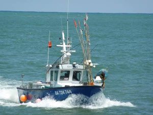 Lire la suite à propos de l’article RDC/Budget 2025 : 52 millions USD alloués pour acquérir 9 bateaux de pêche et dynamiser le secteur halieutique