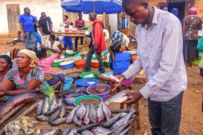 You are currently viewing Kinshasa : Hausse des prix des poissons chinchards, une situation alarmante pour les consommateurs et vendeurs
