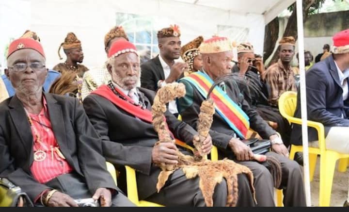 Lire la suite à propos de l’article Débat sur la Constitution : Les chefs coutumiers se rassemblent pour un symposium à Kamba