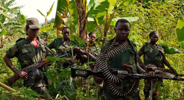 Lire la suite à propos de l’article Nord-Kivu : Les Wazalendo reprennent le contrôle de Luofu