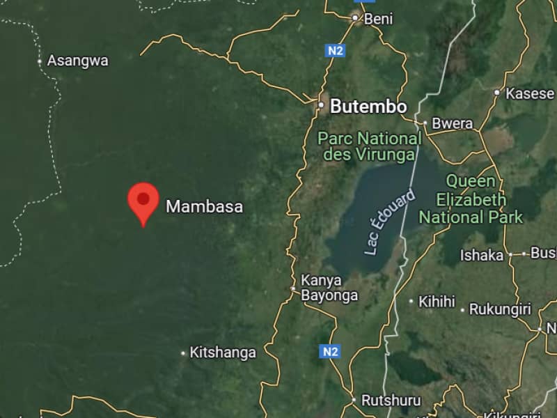 You are currently viewing Guerre dans l’Est : Des affrontements FARDC-M23, signalés à Mambasa, territoire de Lubero
