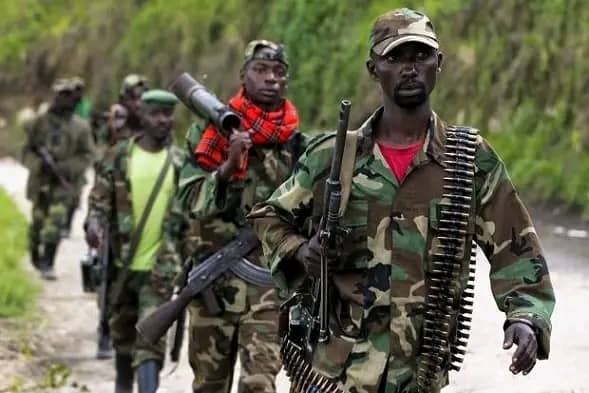You are currently viewing Nord-Kivu : les FDLR dénoncent des obstacles à leur évacuation vers la MONUSCO