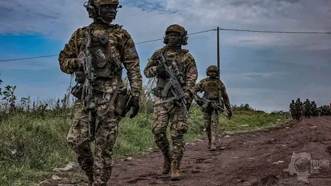 Lire la suite à propos de l’article Tensions régionales : les FDLR refusent de se rendre sans dialogue avec Kigali