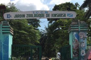 Lire la suite à propos de l’article Kinshasa : l&rsquo;Hôtel de Ville annonce la démolition du Jardin zoologique pour construire un parking